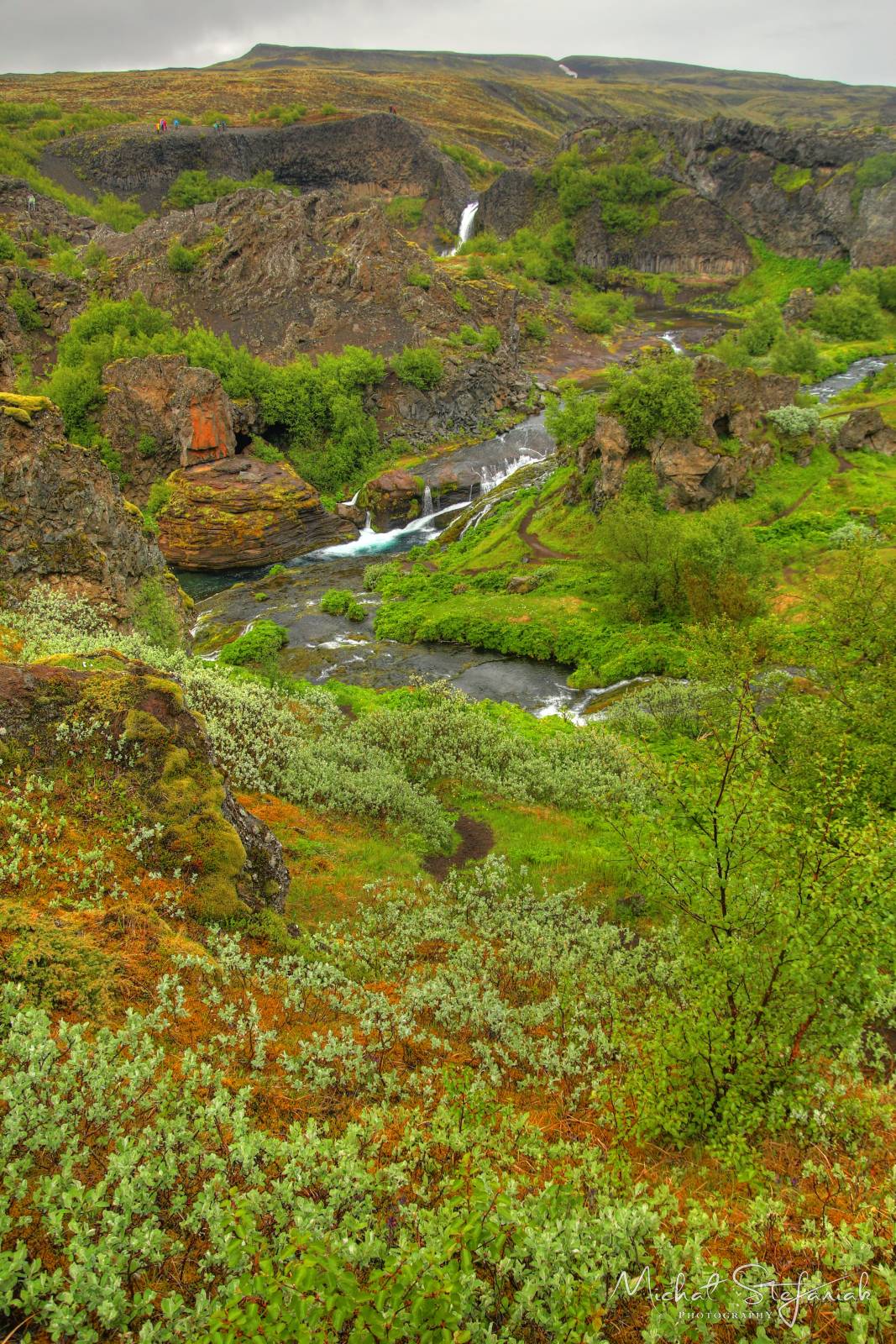 204 IMG 3006 7 8Enhancer